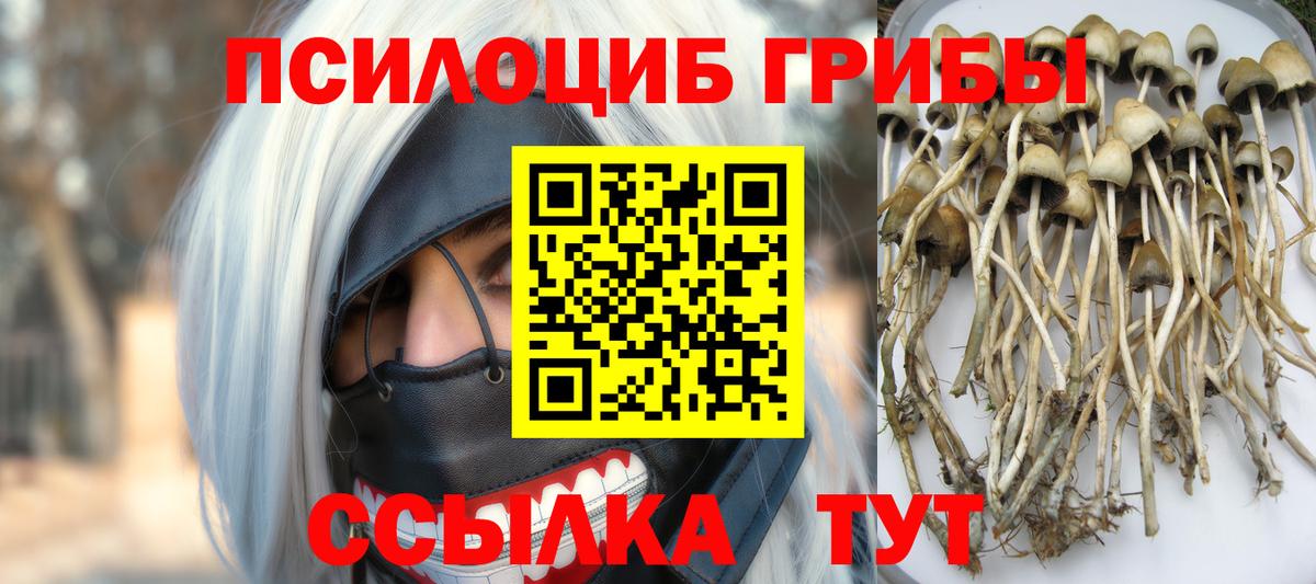 Галлюциногенные грибы Magic Shrooms Рязань