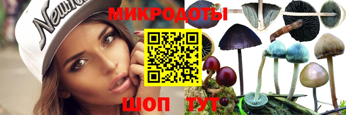 Псилоцибиновые грибы Psilocybine cubensis  Вход с VPN  Рязань 